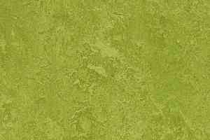 Линолеум Forbo Marmoleum Marbled Fresco 3247-324735 green фото  | FLOORDEALER